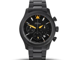 Balticus Flying Seal