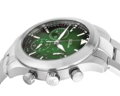 Balticus Flying Seal