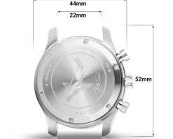 Balticus Flying Seal