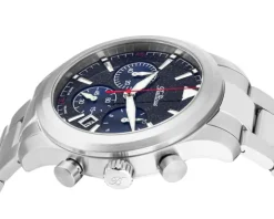 Balticus Flying Seal