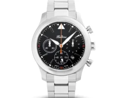 Balticus Flying Seal