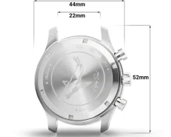 Balticus Flying Seal