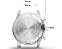 Balticus Flying Seal