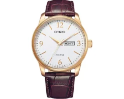 Citizen Leather