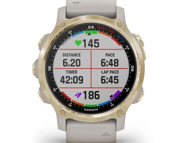 Garmin Descent™ Mk2S