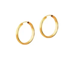 Złote kolczyki szarnir - koła, 20 mm