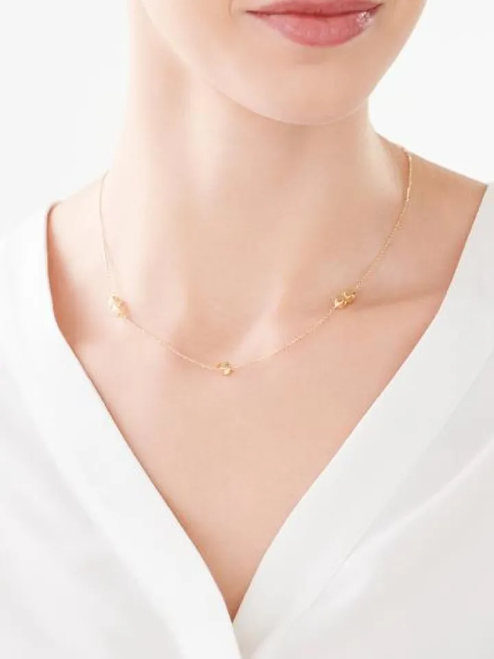 Złoty naszyjnik, ankier