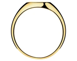 Złoty pierścionek - sygnet
